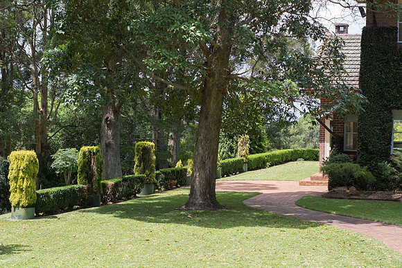 BOYCE GARDENS